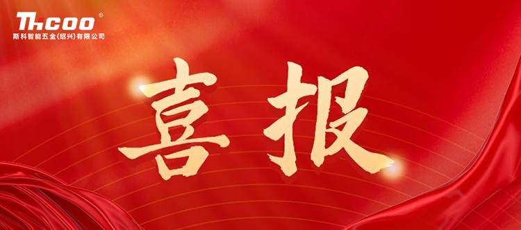 喜報 | 斯科榮獲“2024年度企業30優”